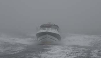 34 Tadpole ploughing through the Fog
