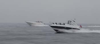46 Sancerre & Tadpole running together